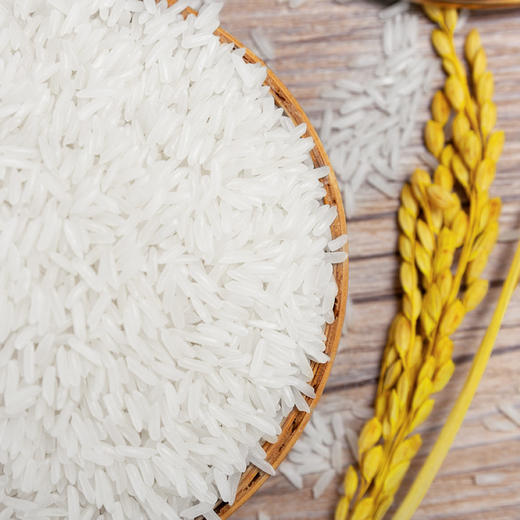 亚象原装进口炫彩泰国香米5KG【仅工作日发货】 商品图0