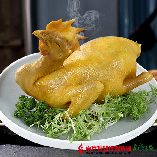 【珠三角包邮】蒙西娜 广府盐焗鸡 750g/只（11月30日到货） 商品图0