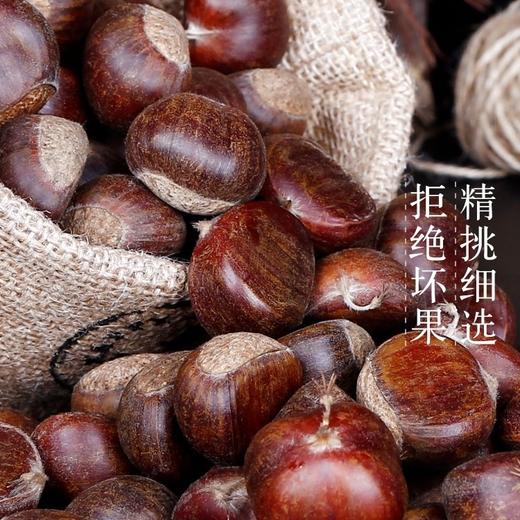 迁西生鲜老树板栗 1.8/3斤/5斤装 商品图1