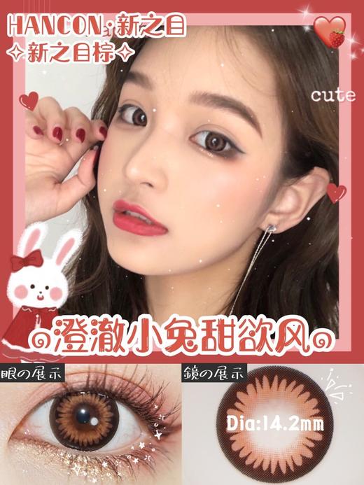 hancon 年抛 新之目棕/新之目灰/埃及棕/珍珠灰 商品图1