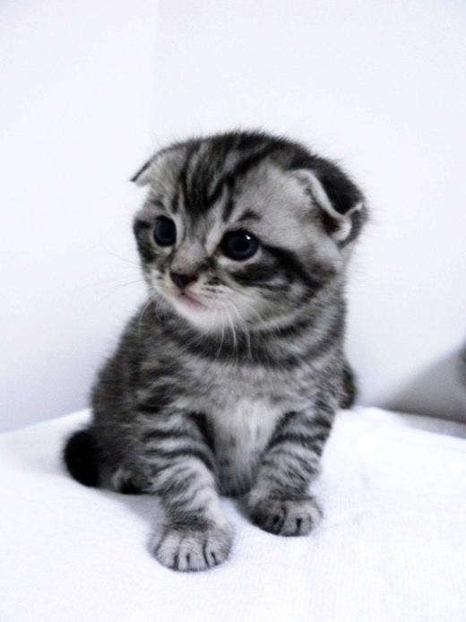 退款分销商品 商品图0