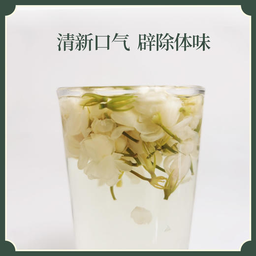 手工净选 茉莉花蕾 不熏硫 道地产地 孕妇备货 商品图3
