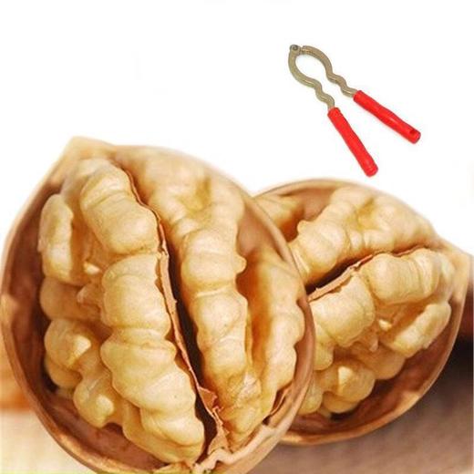 【我爱浙疆】纸皮核桃（2斤装） 商品图4