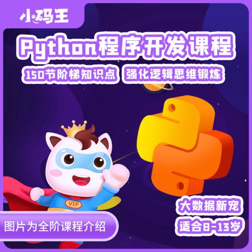 小码王1节python编程课抢购通道 商品图0