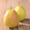 【我爱浙疆】特级香梨（10斤实惠装） 商品缩略图2