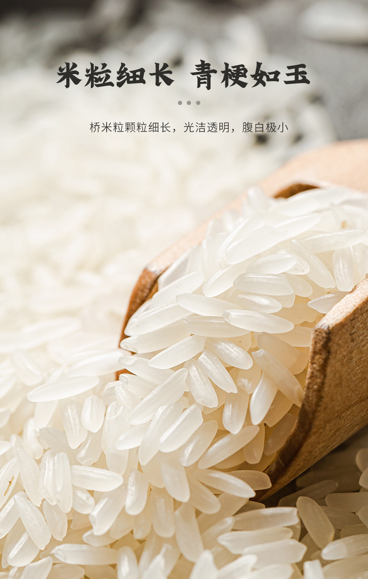 国宝桥米免淘桥米罐装米小包装2021大米瓶装米免淘米长粒大米