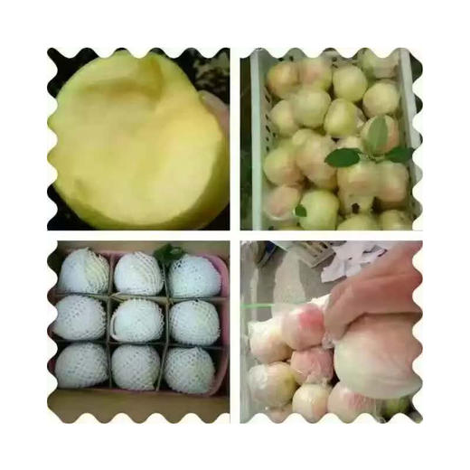 丰县大沙河苹果 10斤装 商品图4