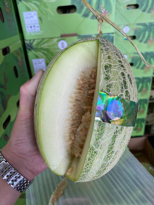 周二秒杀:青蛙王子香瓜3粒装!