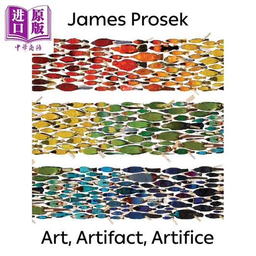 【中商原版】James Prosek 英文原版 詹姆斯·普罗塞克：艺术，神器，技巧 商品图0