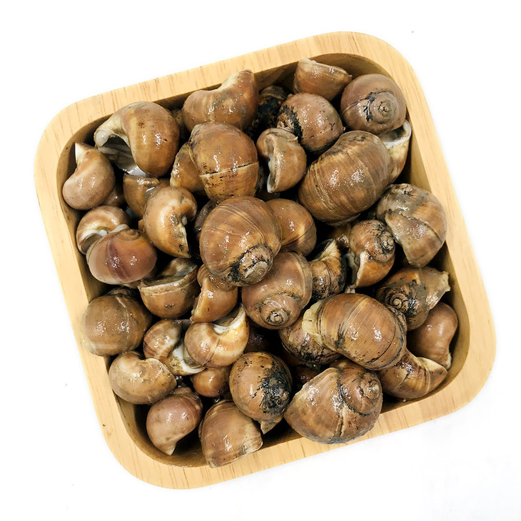 【会员15元/斤】新鲜大香螺