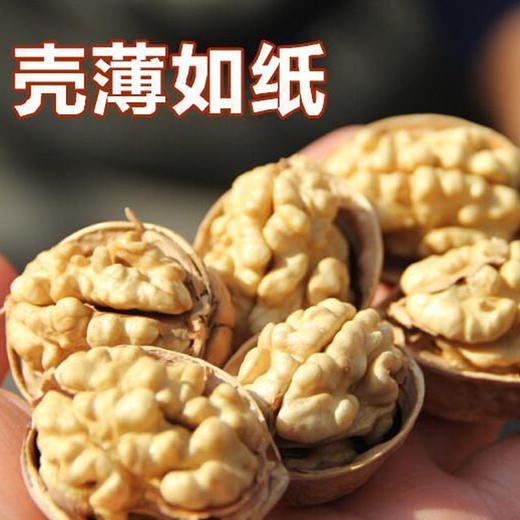 【我爱浙疆】纸皮核桃（2斤装） 商品图3