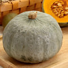 【我爱浙疆】板栗南瓜（约7斤/2个装） 商品缩略图2