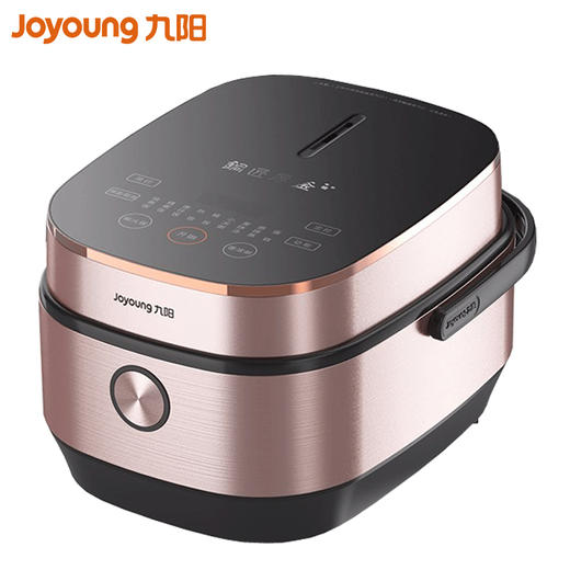 九阳（509371
）（Joyoung） 电饭煲 4L家用智能电饭锅 预约加热电饭煲 全屏钢化玻璃 电饭煲F-40FY5 商品图0
