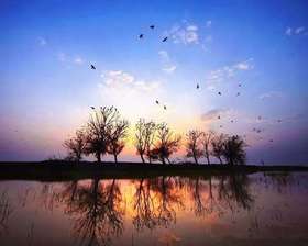 2020慈溪氧气.森林音乐节— “海上陶瓷之路”寻踪之旅