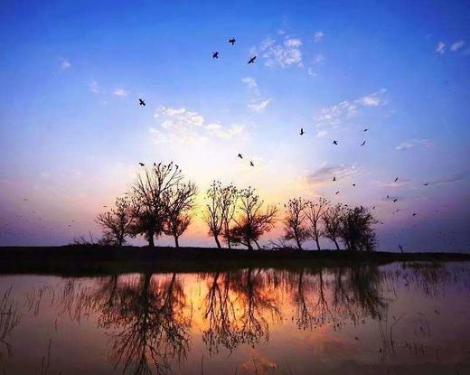 2020慈溪氧气.森林音乐节— “海上陶瓷之路”寻踪之旅 商品图0