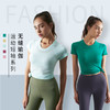 《特惠无缝短袖 不退换》哈瓦塔无缝运动瑜伽服短袖1.0显瘦上衣速干健身房跑步专业春夏薄款（不带胸垫） 商品缩略图0