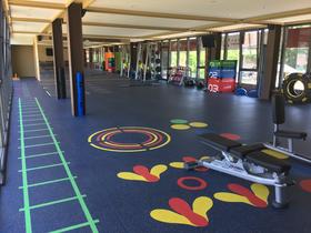 天星调良-驰瑞健身