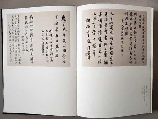 白蕉精品集 正版图书，折扣销售中..八开精装 河北美术出版社 商品图3