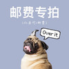 顺丰专属小链接🍩 商品缩略图0