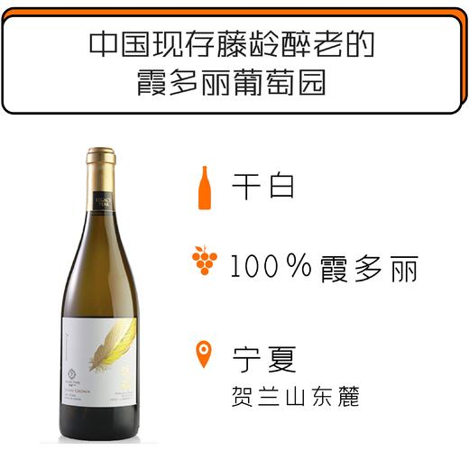 2018年留世锦羽白葡萄酒 Legacy Peak Chardonnay Ningxia Helan Mountain 2018 商品图0