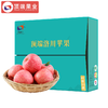 【三口之家】陕西洛川苹果水果新鲜红富士40枚80mm中大果苹果整箱批发 商品缩略图1