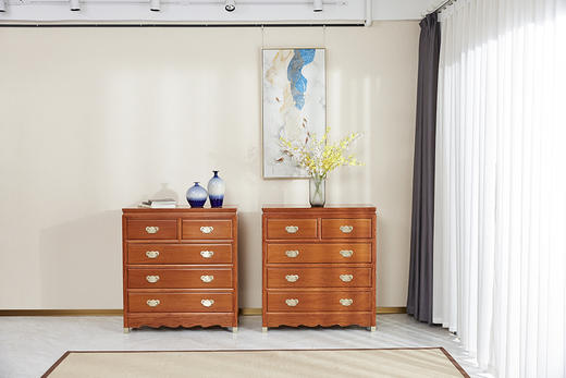 红桥红  家具严选  缅甸花梨（大果紫檀）  【106 明式素面 五斗柜】 商品图0