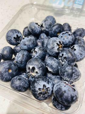 【秘鲁蓝莓】酸甜口味