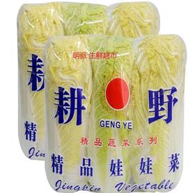 高山娃娃菜 1包