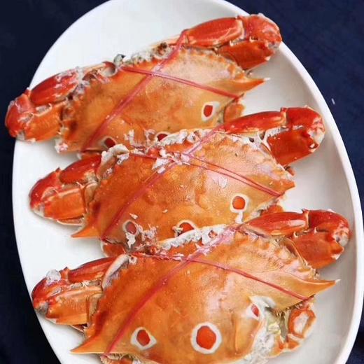 海鲜精选东山海鲜61野生三眼蟹当季热门好蟹满满的红膏清蒸干煎煮粥