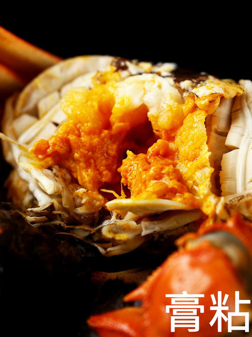 阳澄湖大闸蟹下单原产地发货（全国包邮） 商品图0