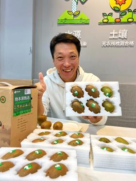 洋县朱鹮有机猕猴桃 徐香24枚 家庭装