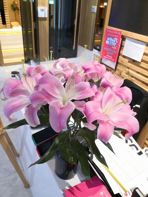 粉百合 商品图0