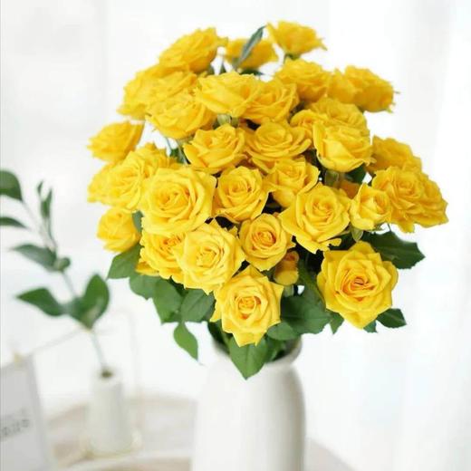 多头玫瑰幸运泡泡特价a级