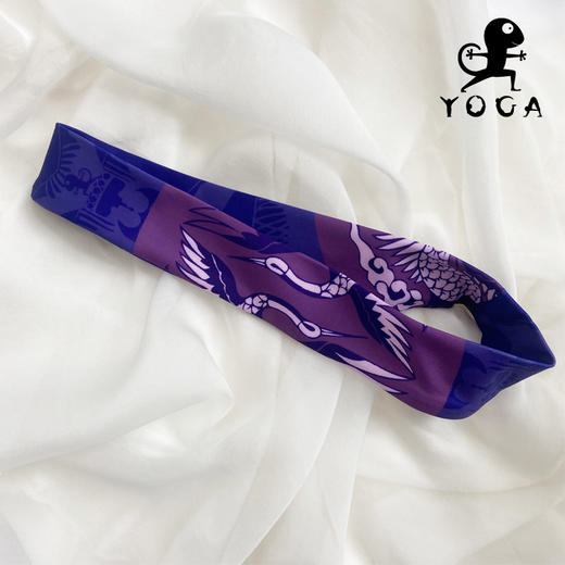 单拍不发货【现货秒发】壁虎多功能瑜伽运动透气吸汗柔软高弹发带 商品图2