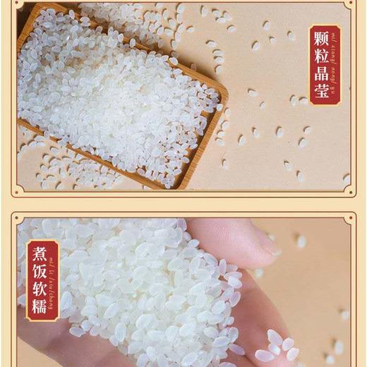 下单即享9折优惠/原价41 华润 五丰 盘锦清香米5kg 商品图5