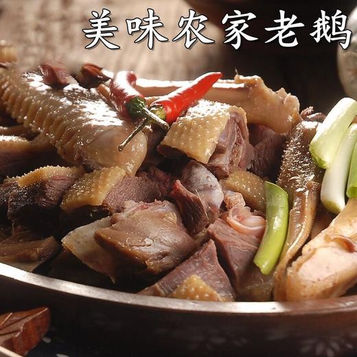 正宗咸老鹅6斤左右一只 商品图5