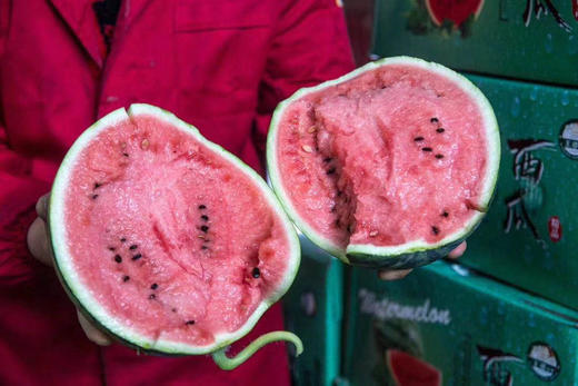 周三取货：【订金链接】特价6.5元/斤，一个9斤左右，王婆西瓜！肉质细脆，入口即化！纯粹的有点甜！ 商品图4