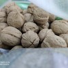 薄皮核桃10斤/袋 商品缩略图1