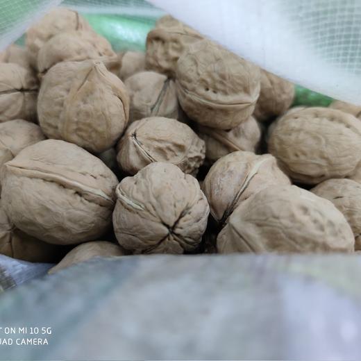 薄皮核桃10斤/袋 商品图1