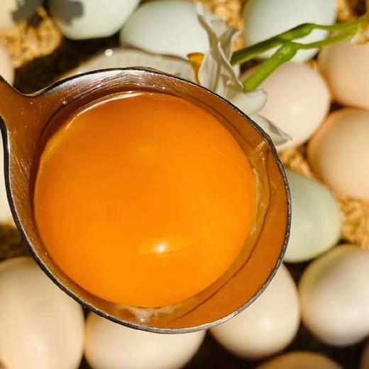 深山农家散养生态土鸡蛋 40枚 商品图0