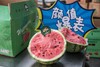 周三取货：【订金链接】特价6.5元/斤，一个9斤左右，王婆西瓜！肉质细脆，入口即化！纯粹的有点甜！ 商品缩略图7