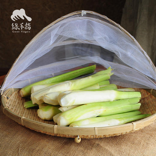 生态湖北茭白 | 合作生产*Eco-Zizania | Coproduction 商品图2