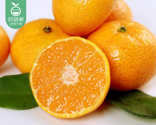 江西新余小蜜桔/1盒（约1000g） 商品图3