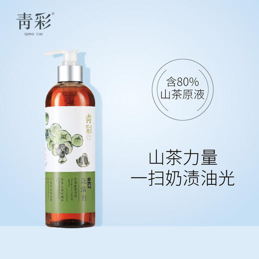 青彩山茶果蔬餐盘洗洁剂 山茶籽精华洗洁精 480ml 商品图0
