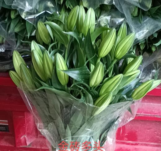 yh百合金砖多头特价