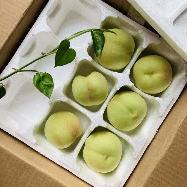 10.13日发货（必抢）好吃的绿桃第四季来啦，脆甜爽口，脆蜜绿桃