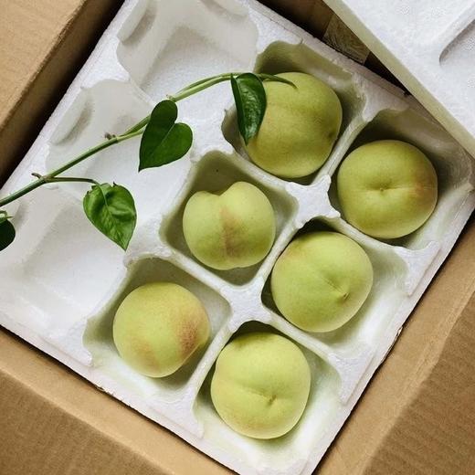 10.13日发货（必抢）好吃的绿桃第四季来啦，脆甜爽口，脆蜜绿桃 商品图0
