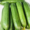 【正品水果小黄瓜】清爽口感，农科院培植科研新品[得意][机智][机智]🥒久违了[色]小时候的味道 商品缩略图1