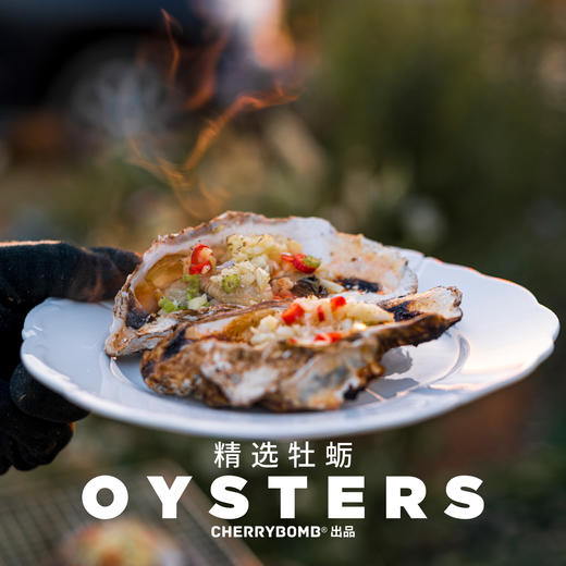 生蚝肥了！威海乳山牡蛎生蚝约5斤/10斤装  顺丰包邮 商品图7