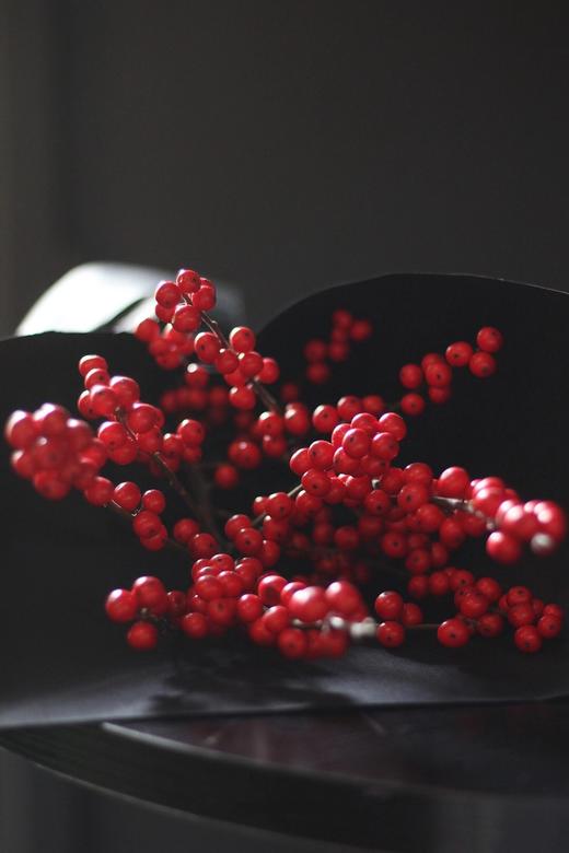 【周四秒杀】北美冬青2枝78元 商品图3